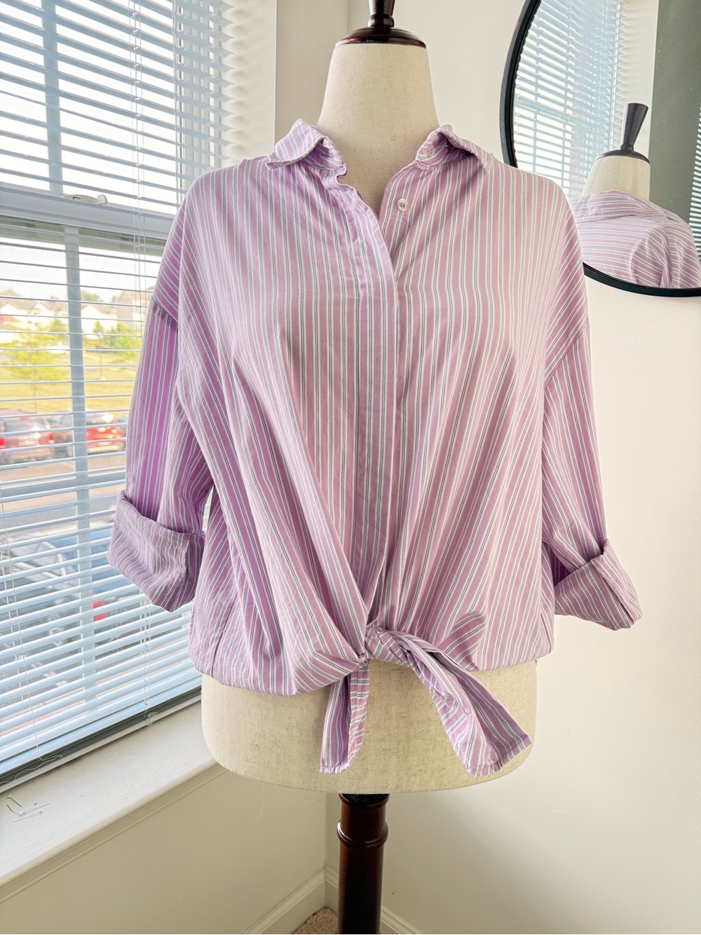 Zara Soft Pink and White Striped Button-Down Shirt - Women